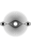 Vision of Light
