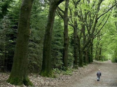 alleengeboren tweeling